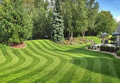 Landscaping & Architecture